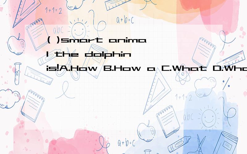 ( )smart animal the dolphin is!A.How B.How a C.What D.What a