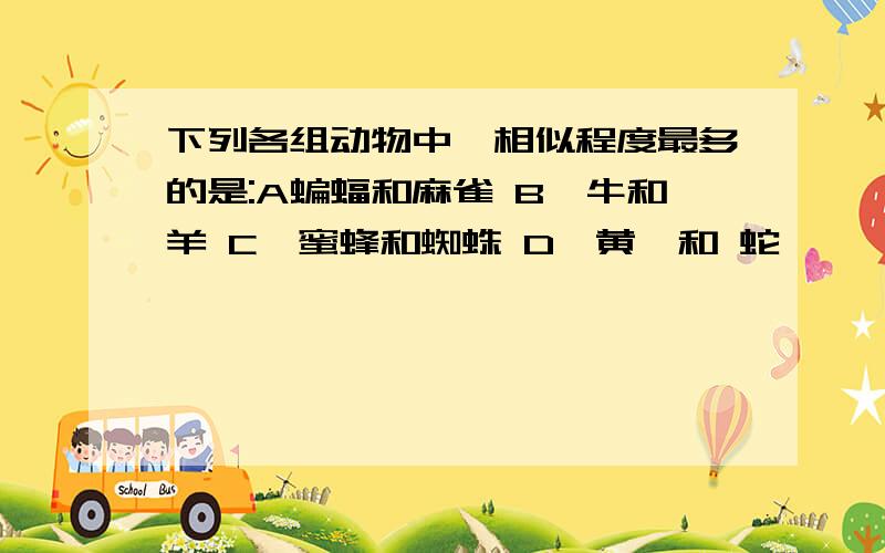 下列各组动物中,相似程度最多的是:A蝙蝠和麻雀 B,牛和羊 C,蜜蜂和蜘蛛 D,黄鳝和 蛇