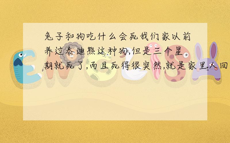 兔子和狗吃什么会死我们家以前养过泰迪熊这种狗,但是三个星期就死了,而且死得很突然,就是家里人回家的时候,在车库发现它突然