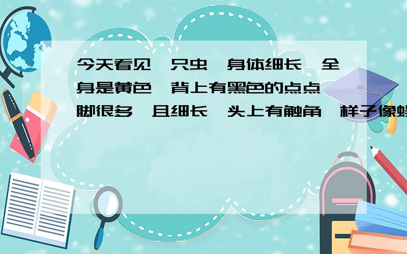 今天看见一只虫,身体细长,全身是黄色,背上有黑色的点点,脚很多,且细长,头上有触角,样子像蜈蚣,...