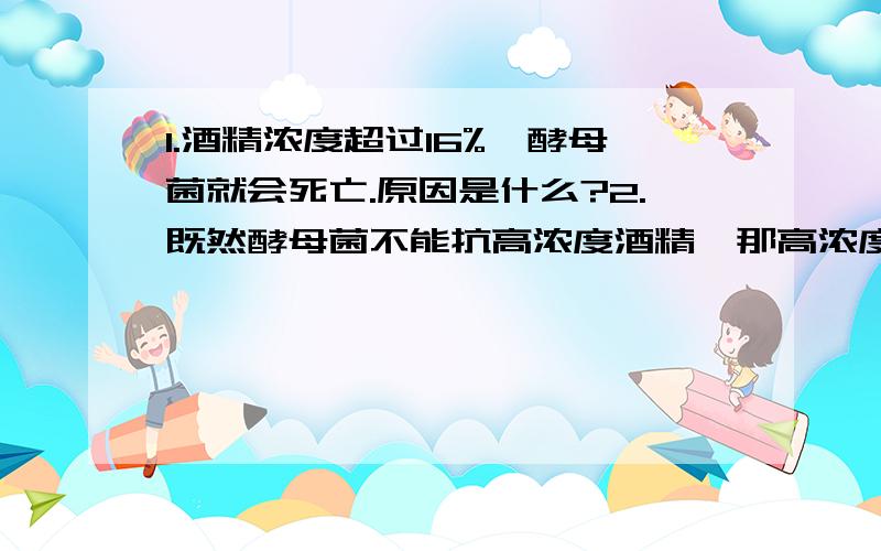 1.酒精浓度超过16%,酵母菌就会死亡.原因是什么?2.既然酵母菌不能抗高浓度酒精,那高浓度酒如何酿造?