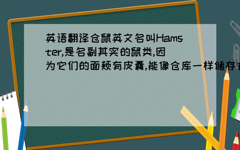 英语翻译仓鼠英文名叫Hamster,是名副其实的鼠类,因为它们的面颊有皮囊,能像仓库一样储存食物,所以得仓鼠之名.它们喜