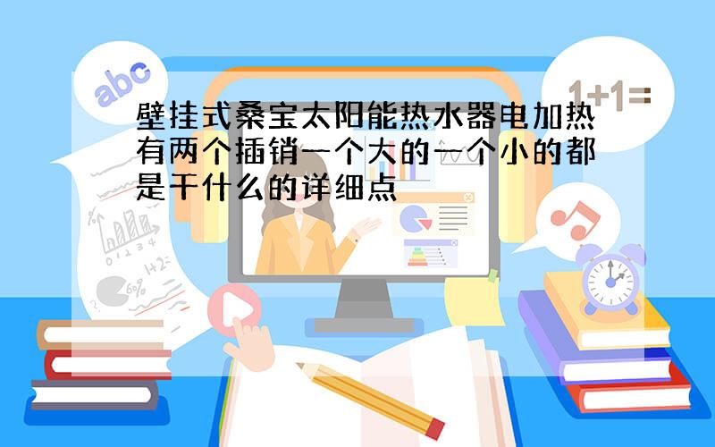 壁挂式桑宝太阳能热水器电加热有两个插销一个大的一个小的都是干什么的详细点