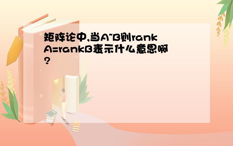 矩阵论中,当A~B则rankA=rankB表示什么意思啊?