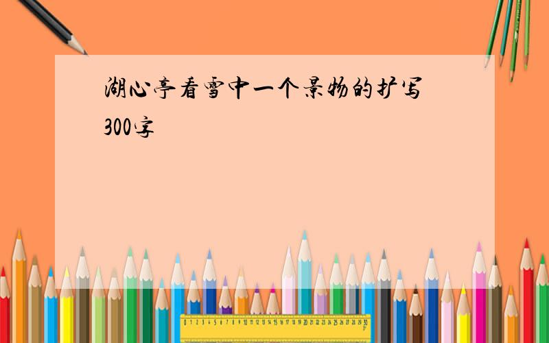 湖心亭看雪中一个景物的扩写 300字