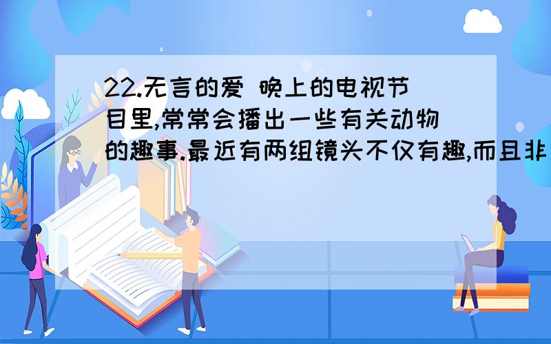 22.无言的爱 晚上的电视节目里,常常会播出一些有关动物的趣事.最近有两组镜头不仅有趣,而且非常感人.