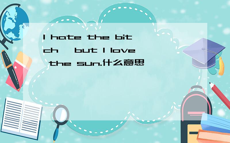 I hate the bitch, but I love the sun.什么意思