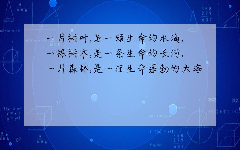 一片树叶,是一颗生命的水滴,一棵树木,是一条生命的长河,一片森林,是一汪生命蓬勃的大海