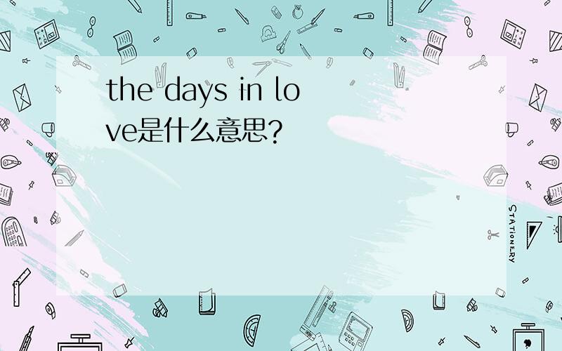 the days in love是什么意思?