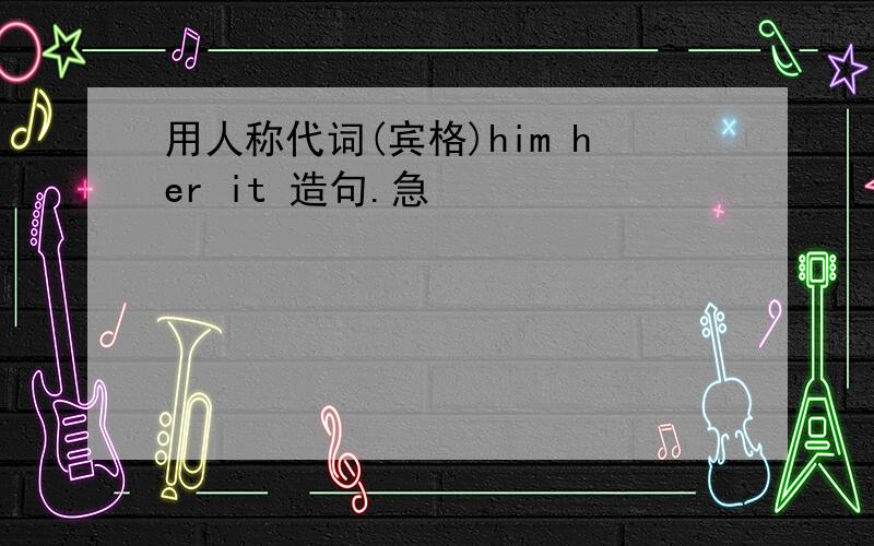 用人称代词(宾格)him her it 造句.急