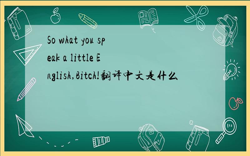 So what you speak a little English,Bitch!翻译中文是什么