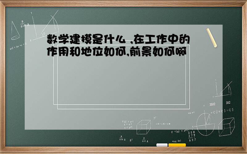 数学建摸是什么 ,在工作中的作用和地位如何,前景如何啊