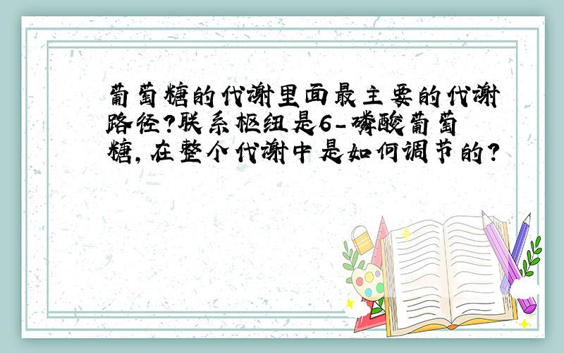 葡萄糖的代谢里面最主要的代谢路径?联系枢纽是6-磷酸葡萄糖,在整个代谢中是如何调节的?