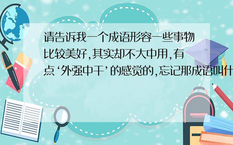 请告诉我一个成语形容一些事物比较美好,其实却不大中用,有点‘外强中干’的感觉的,忘记那成语叫什么来了.知道的请提示一下.