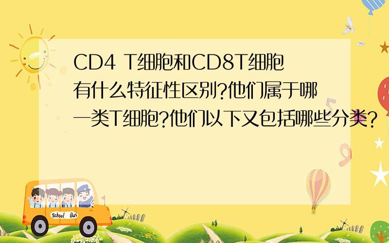 CD4 T细胞和CD8T细胞有什么特征性区别?他们属于哪一类T细胞?他们以下又包括哪些分类?