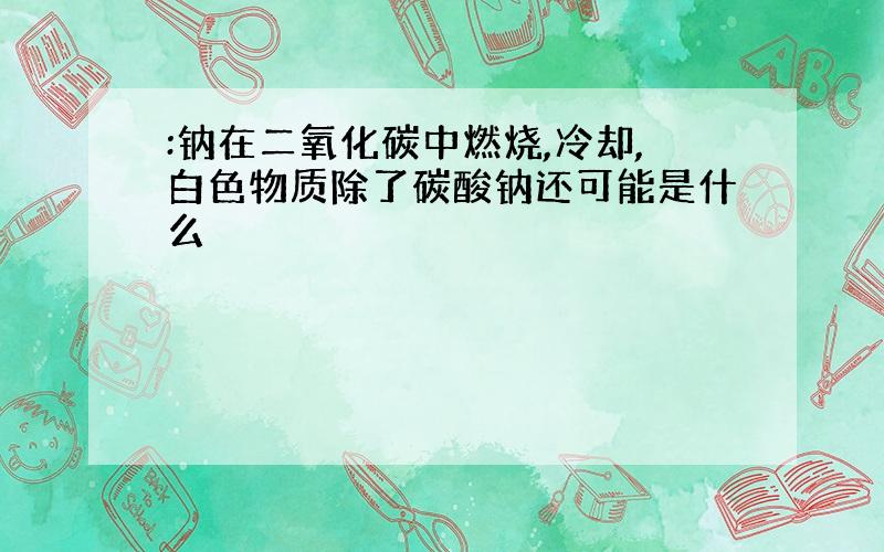 :钠在二氧化碳中燃烧,冷却,白色物质除了碳酸钠还可能是什么