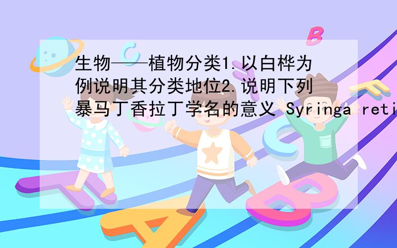 生物——植物分类1.以白桦为例说明其分类地位2.说明下列暴马丁香拉丁学名的意义 Syringa reticulata (