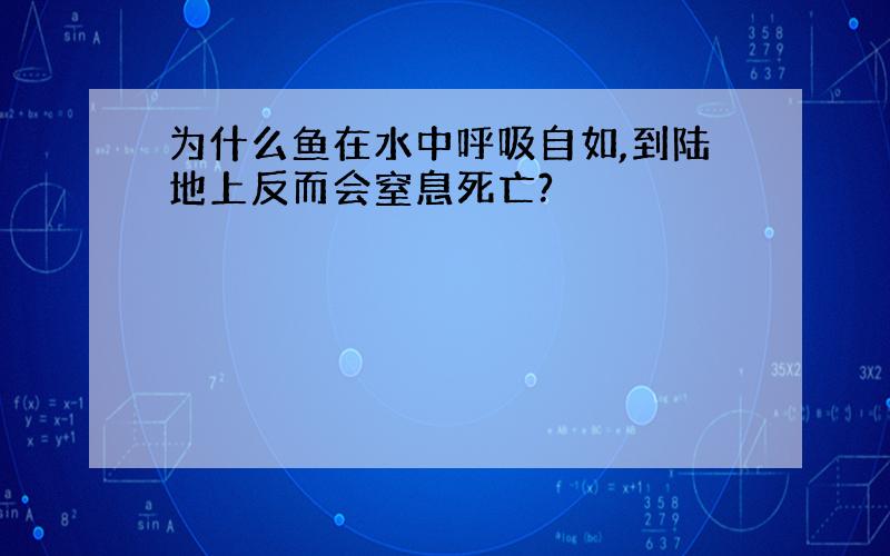 为什么鱼在水中呼吸自如,到陆地上反而会窒息死亡?