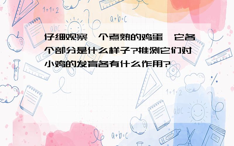 仔细观察一个煮熟的鸡蛋,它各个部分是什么样子?推测它们对小鸡的发育各有什么作用?