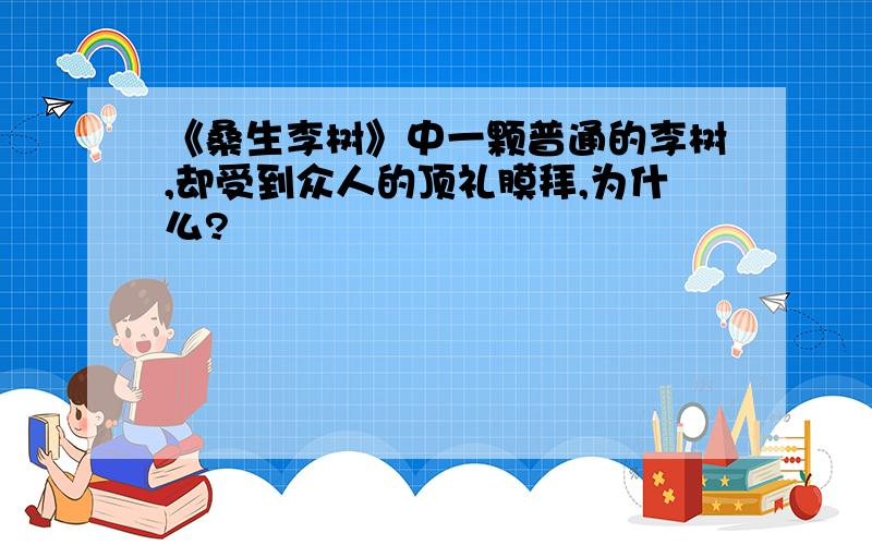 《桑生李树》中一颗普通的李树,却受到众人的顶礼膜拜,为什么?