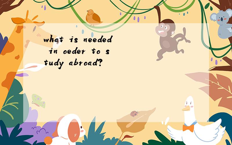 what is needed in oeder to study abroad?