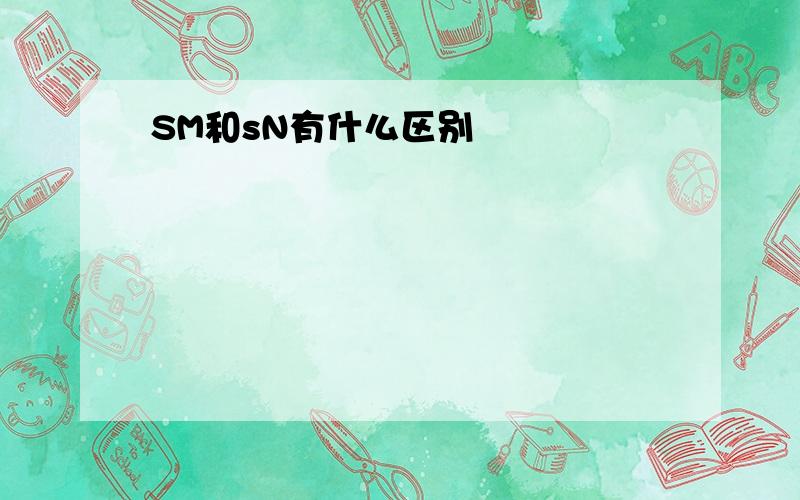 SM和sN有什么区别