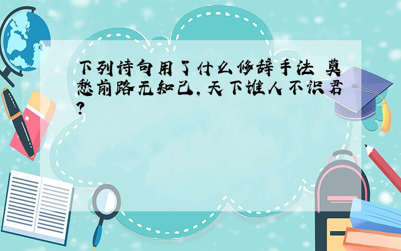 下列诗句用了什么修辞手法 莫愁前路无知己,天下谁人不识君?