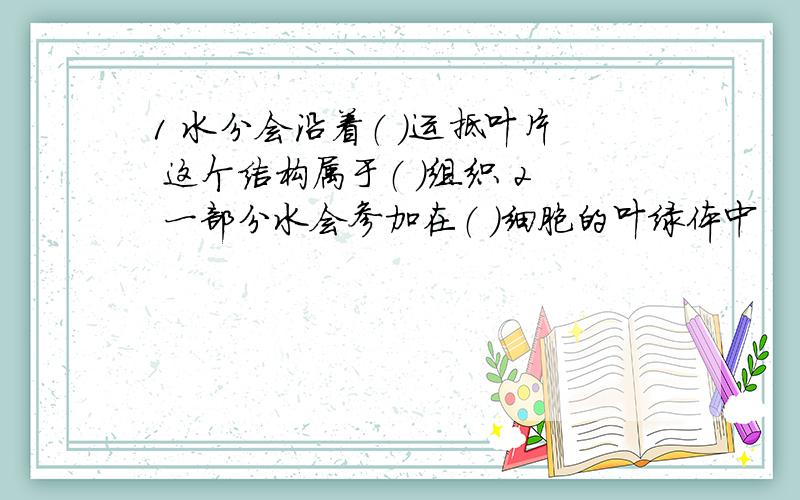 1 水分会沿着（ ）运抵叶片 这个结构属于（ ）组织 2 一部分水会参加在（ ）细胞的叶绿体中