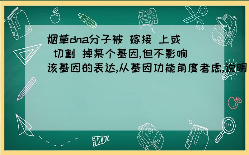 烟草dna分子被 嫁接 上或 切割 掉某个基因,但不影响该基因的表达,从基因功能角度考虑,说明了什么?