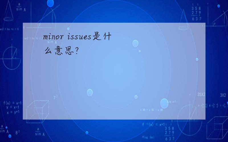 minor issues是什么意思?