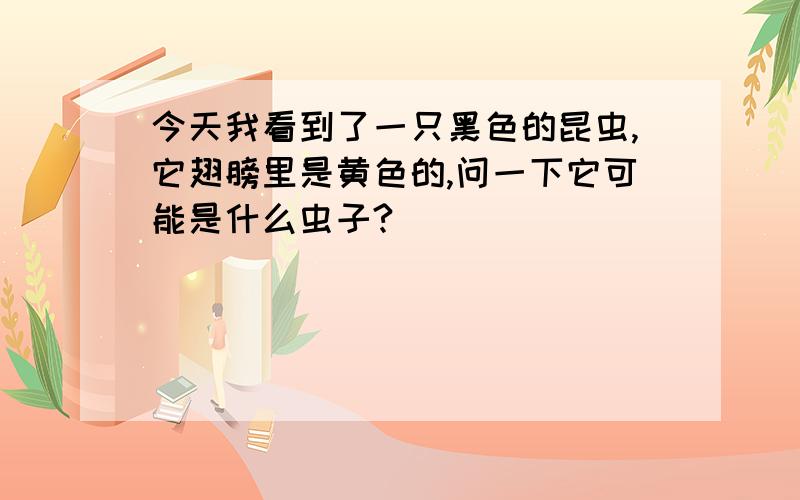 今天我看到了一只黑色的昆虫,它翅膀里是黄色的,问一下它可能是什么虫子?