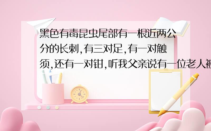 黑色有毒昆虫尾部有一根近两公分的长刺,有三对足,有一对触须,还有一对钳,听我父亲说有一位老人被咬,抢救都来不及,