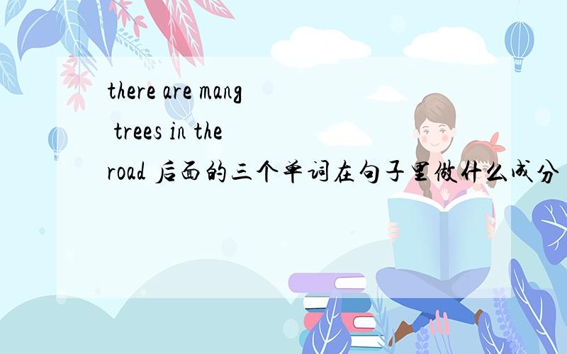 there are mang trees in the road 后面的三个单词在句子里做什么成分