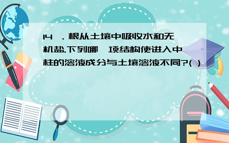 14 ．根从土壤中吸收水和无机盐.下列哪一项结构使进入中柱的溶液成分与土壤溶液不同?( )