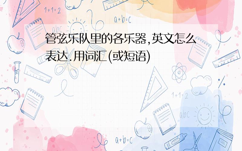 管弦乐队里的各乐器,英文怎么表达.用词汇(或短语)