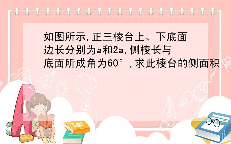 如图所示,正三棱台上、下底面边长分别为a和2a,侧棱长与底面所成角为60°,求此棱台的侧面积