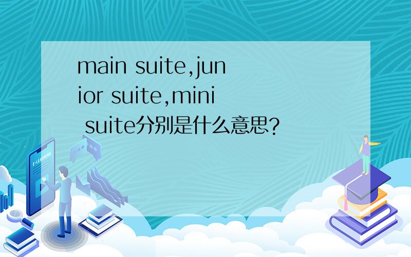 main suite,junior suite,mini suite分别是什么意思?