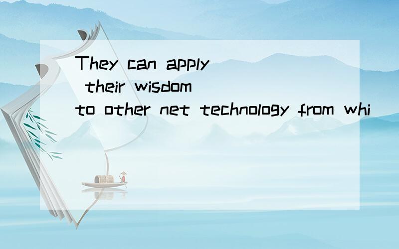 They can apply their wisdom to other net technology from whi