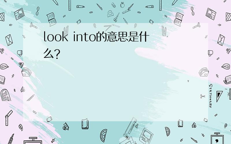 look into的意思是什么?