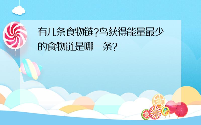 有几条食物链?鸟获得能量最少的食物链是哪一条?