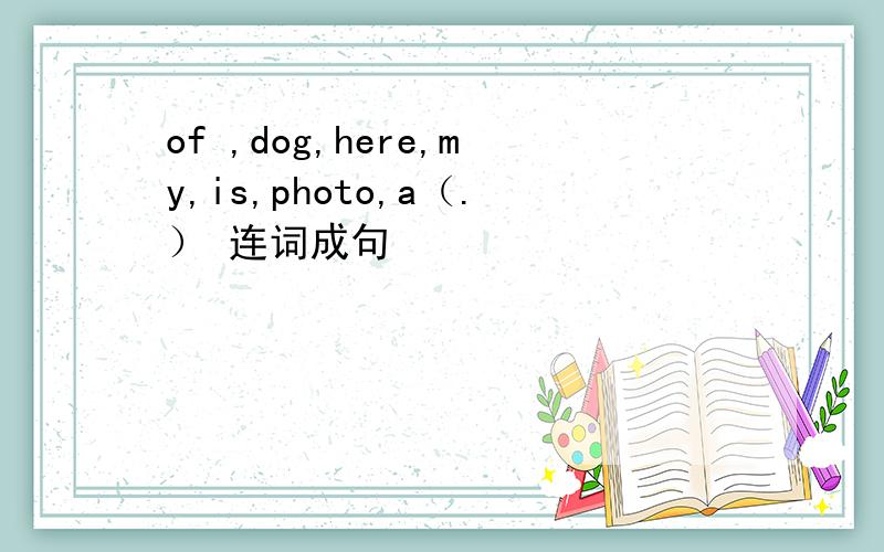 of ,dog,here,my,is,photo,a（.） 连词成句