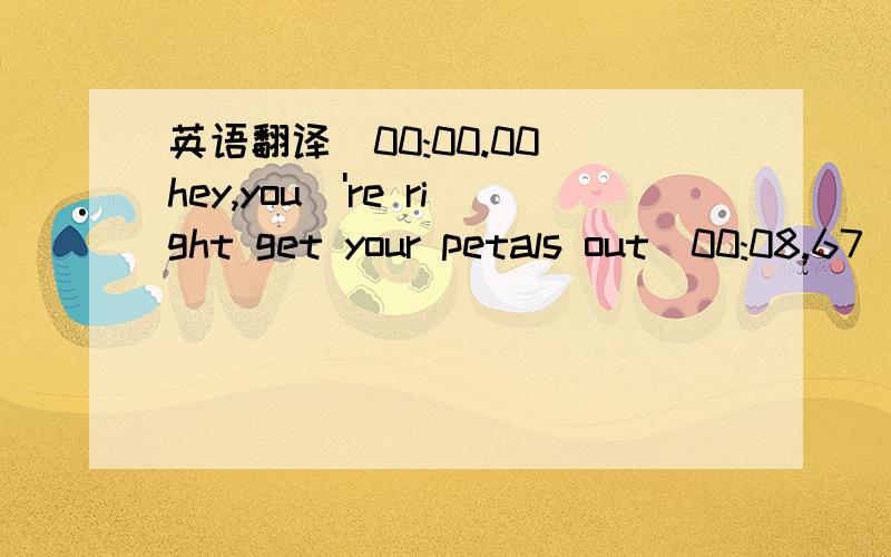 英语翻译[00:00.00]hey,you\'re right get your petals out[00:08.67