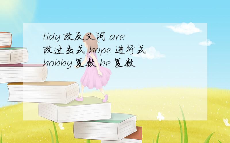 tidy 改反义词 are 改过去式 hope 进行式 hobby 复数 he 复数