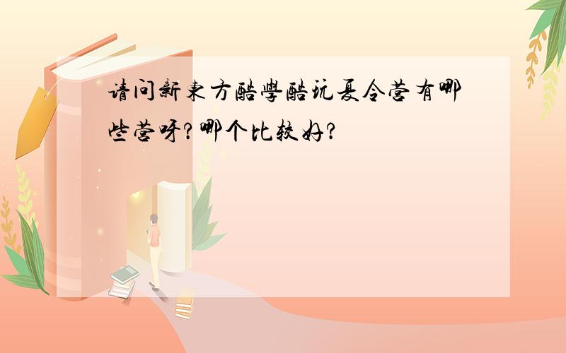 请问新东方酷学酷玩夏令营有哪些营呀?哪个比较好?