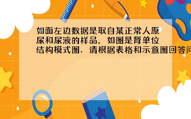 如面左边数据是取自某正常人原尿和尿液的样品，如图是肾单位结构模式图．请根据表格和示意图回答问题．（“[]”中填写序号，“