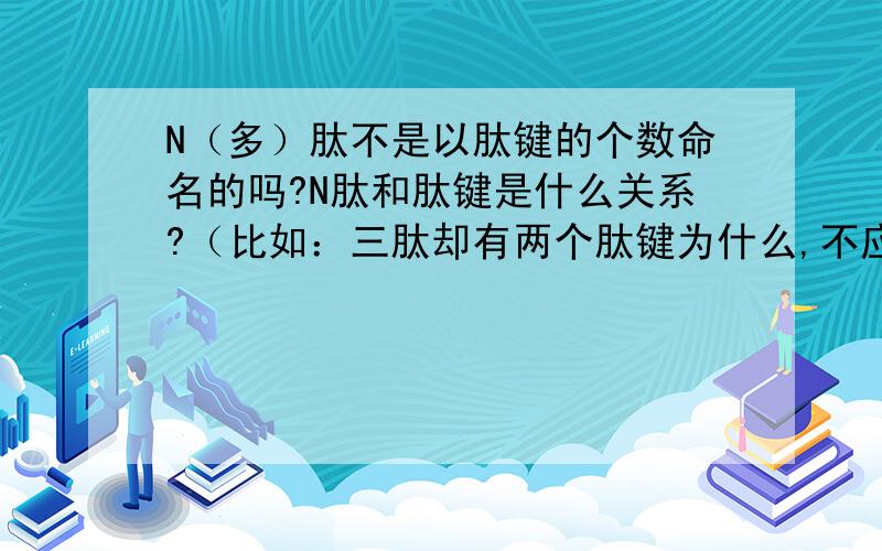 N（多）肽不是以肽键的个数命名的吗?N肽和肽键是什么关系?（比如：三肽却有两个肽键为什么,不应该有三个吗?）