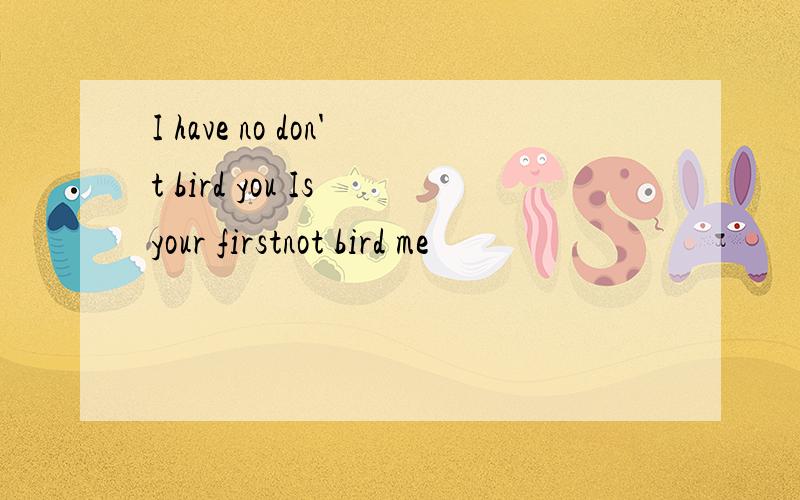 I have no don't bird you Is your firstnot bird me