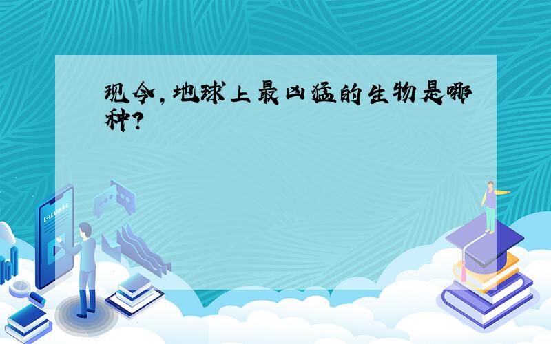 现今,地球上最凶猛的生物是哪种?