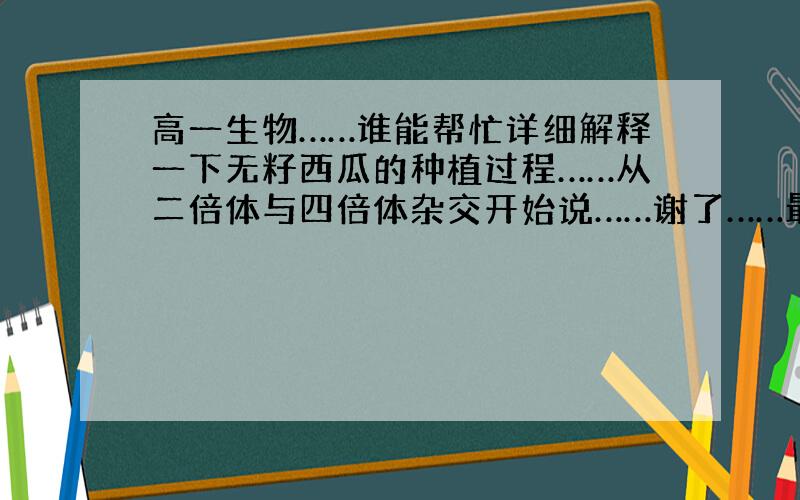 高一生物……谁能帮忙详细解释一下无籽西瓜的种植过程……从二倍体与四倍体杂交开始说……谢了……最好把