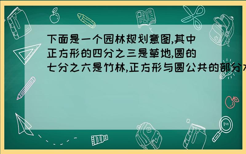 下面是一个园林规划意图,其中正方形的四分之三是草地,圆的七分之六是竹林,正方形与圆公共的部分水池